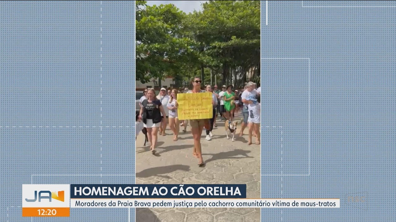 Cão Orelha: projetos que elevam penas para maus-tratos a pets podem ser votados após o Carnaval