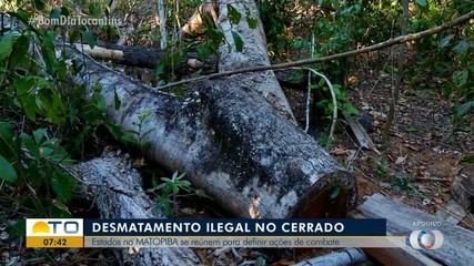 Estados do MATOPIBA se reúnem para definir ações para combater do desmatamento no cerrado