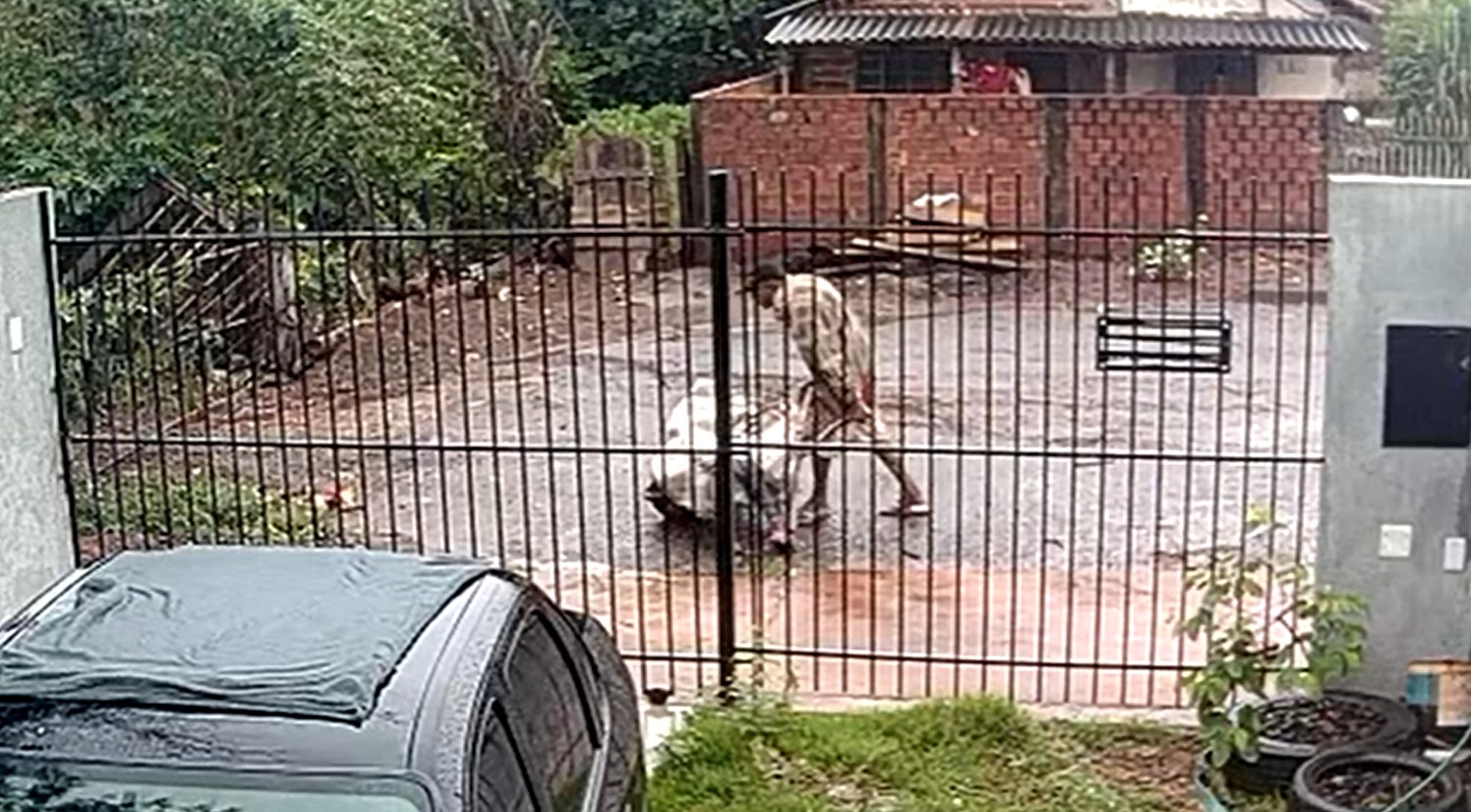 Homem é filmado carregando mulher desacordada dentro de saco de cal e a abandonando em rua do Paraná