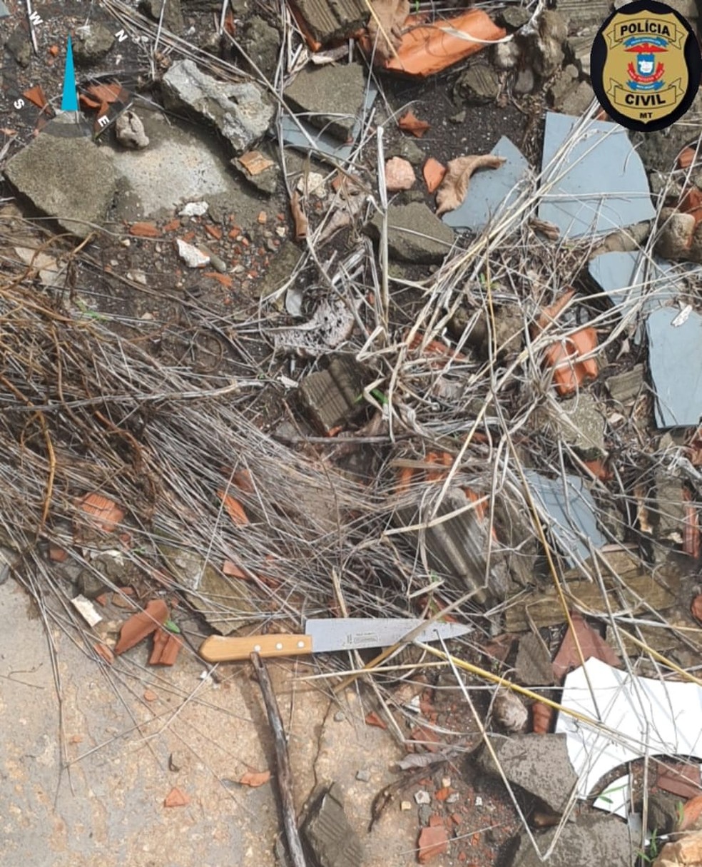 Idosa foi morta após suspeito pular o muro da casa dela — Foto: Polícia Civil