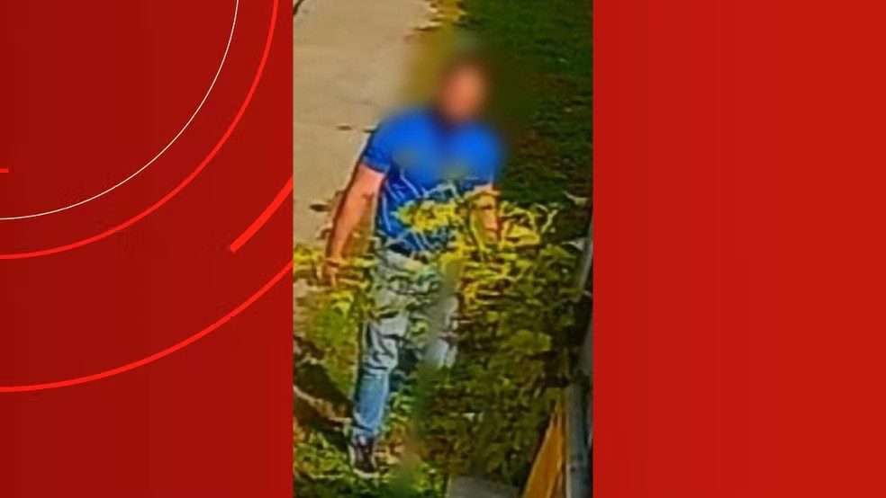 Suspeito de arremessar gato contra muro na Zona Sul de Manaus é preso em Brasília