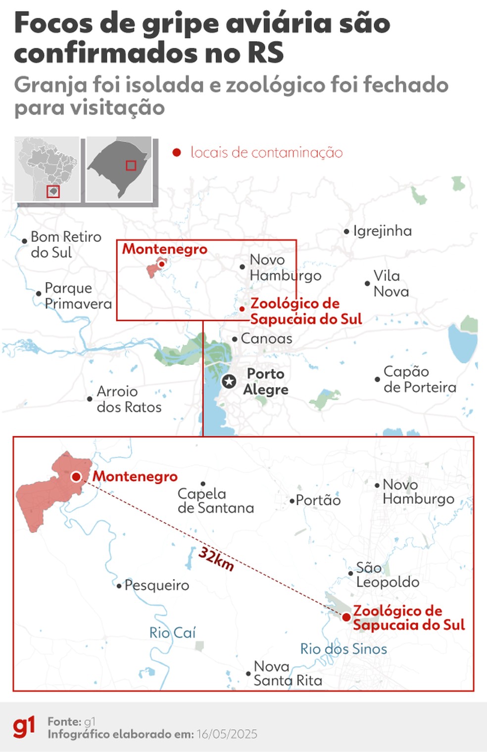 Montenegro e Sapucaia do Sul, locais com focos de gripe aviária no RS — Foto: Arte/g1