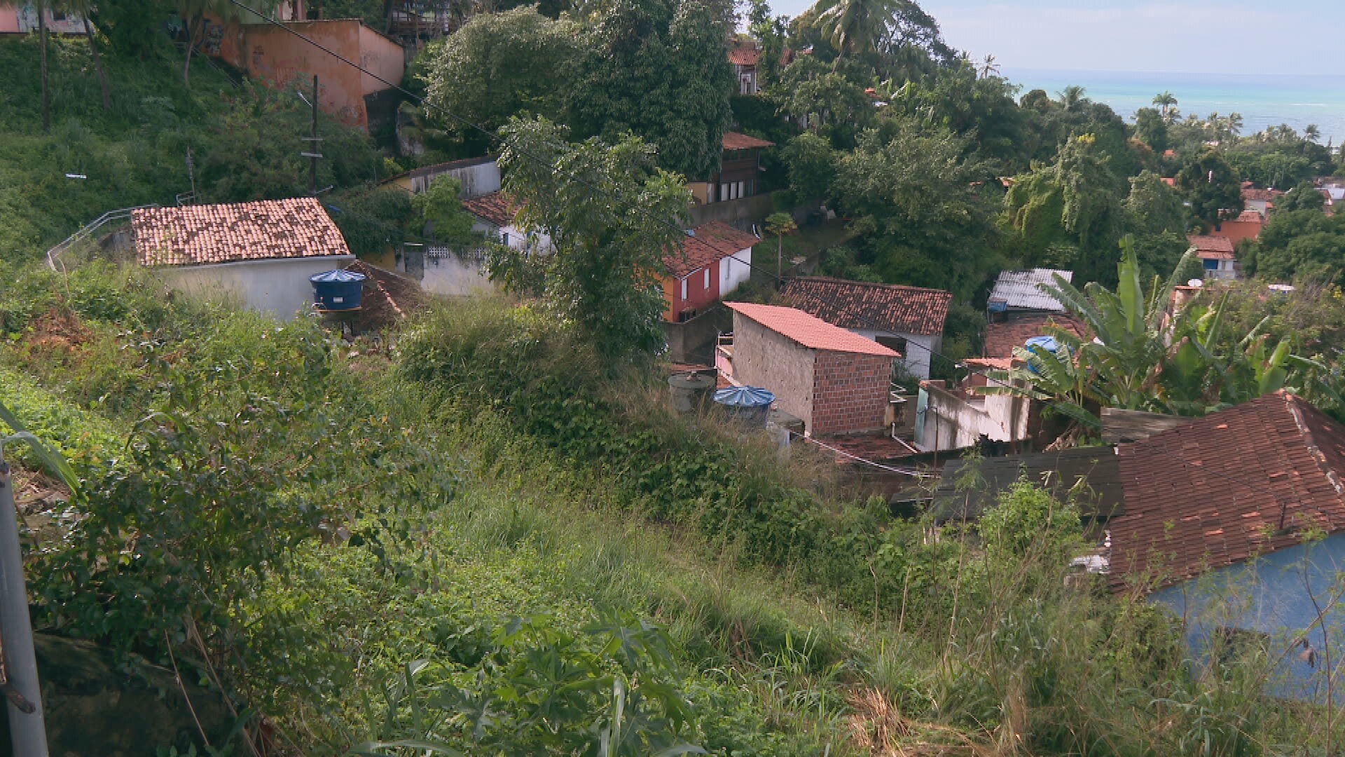 Construções e reformas irregulares reduzem áreas de vegetação no Sítio Histórico de Olinda, aponta pesquisa da UFPE