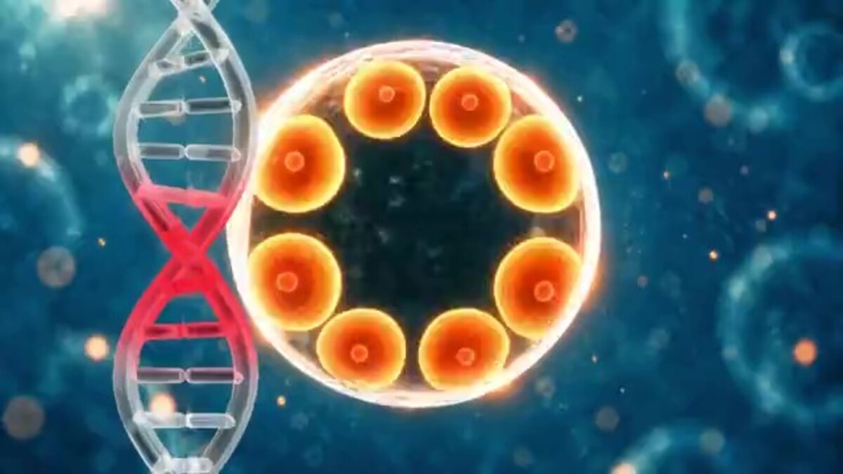 Pesquisadores usam 'botão de volume' para tratar doenças ligando ou desligando trechos de DNA