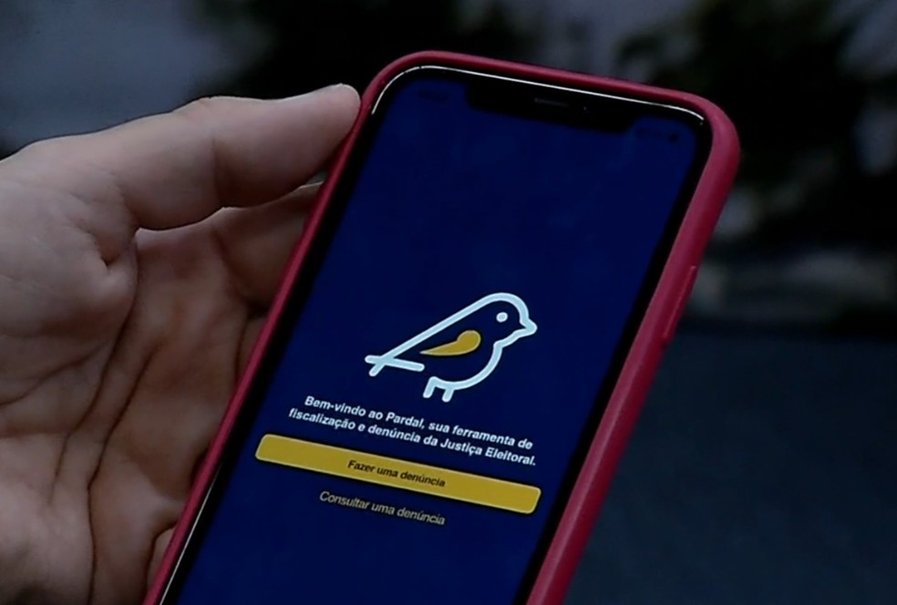 Conheça aplicativo que ajuda a fiscalizar campanhas eleitorais. — Foto: Reprodução/TV Verdes Mares