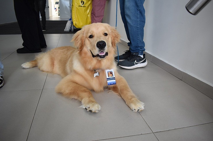 Você Não Tá Convidada pro Meu Bat Mitzvá!