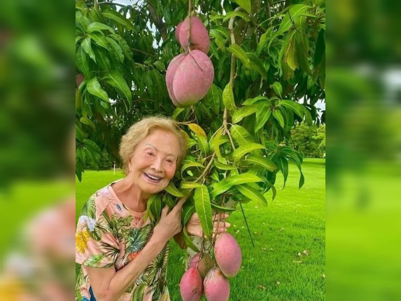 Glória Menezes passou isolamento da Covid-19 com o marido em fazenda de Porto Feliz; veja fotos 