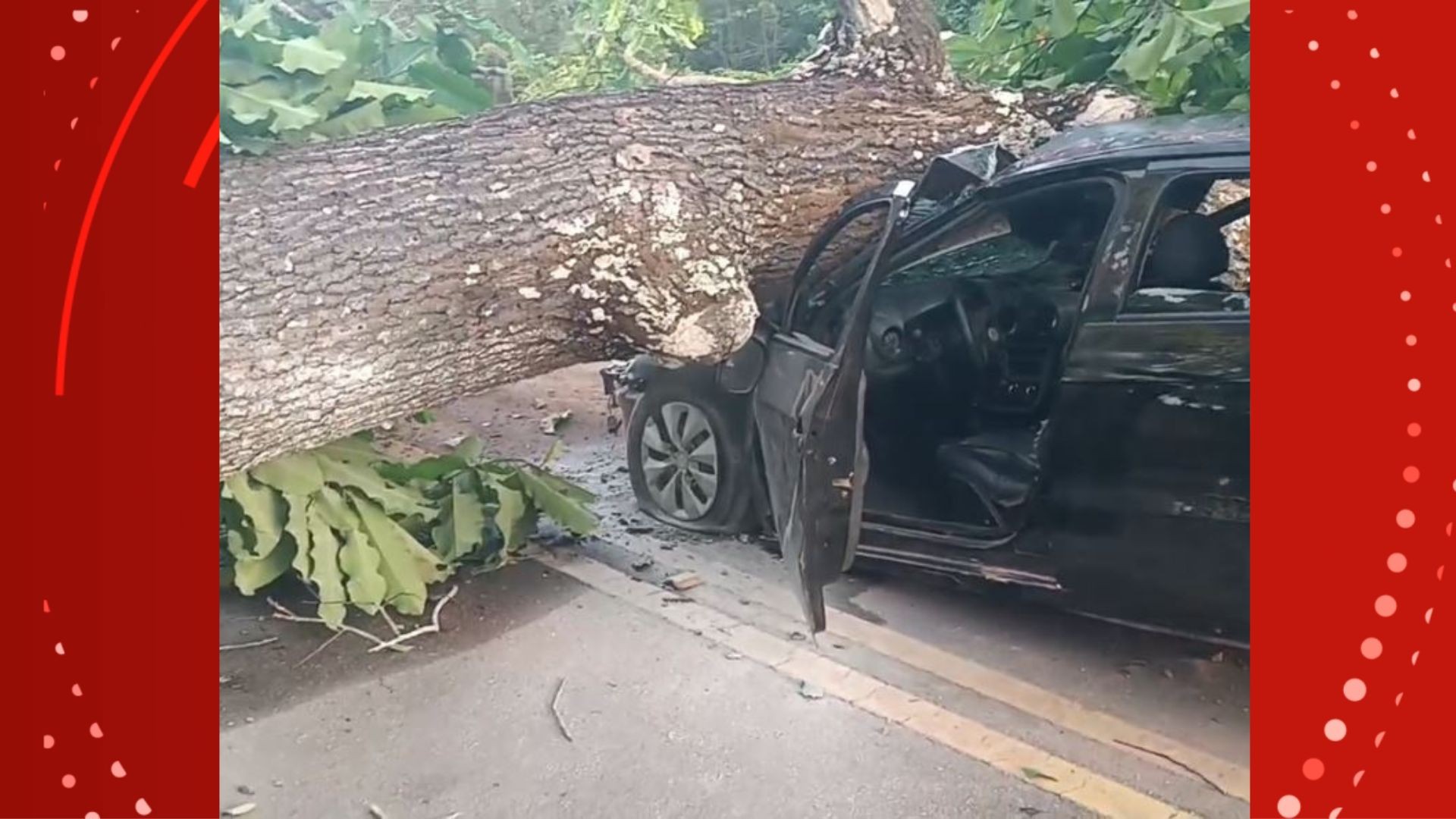 Motorista morre após bater em árvore que caiu em rodovia do Amapá