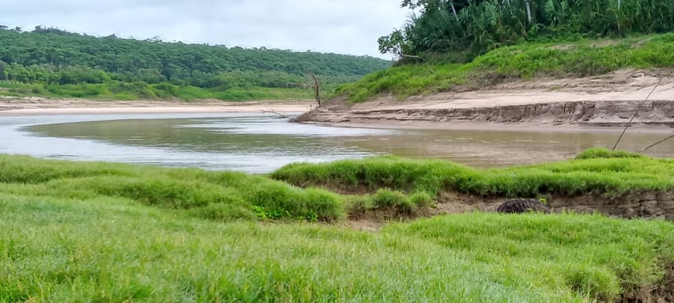 Seca revela vegatação às margens de rio em Envira. — Foto: Divulgação/Defesa Civil Municipal