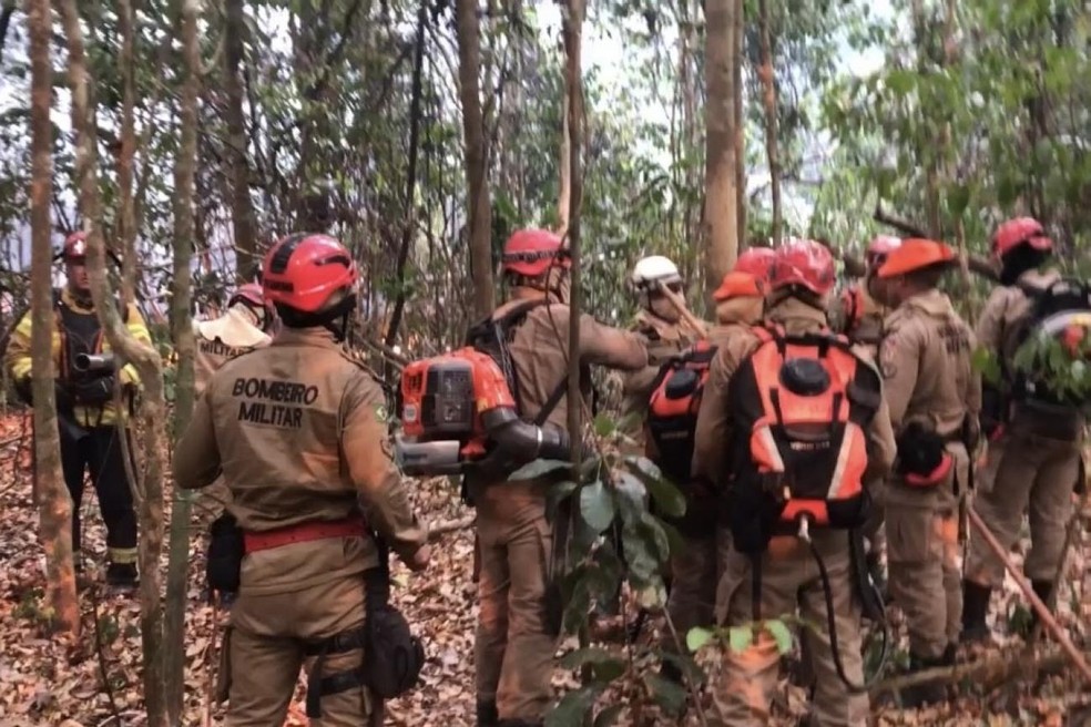 Estado envia aeronave, maquinário e bombeiros para combater incêndio em Terra Indígena — Foto: Agência Pará