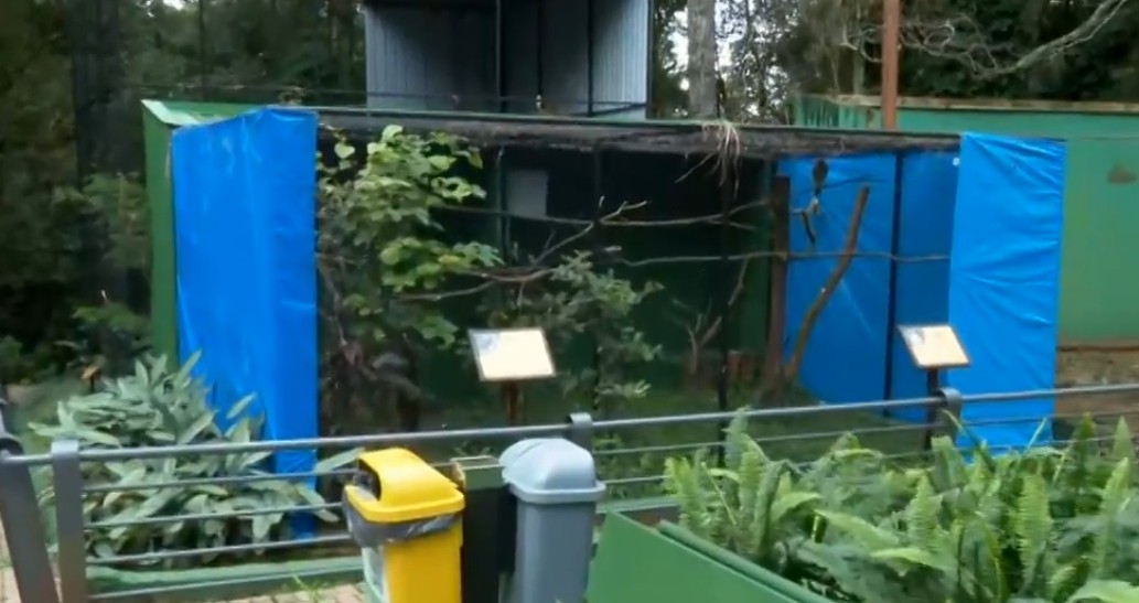 Zoológico de Cascavel adapta ambiente e alimentação para proteger animais do frio