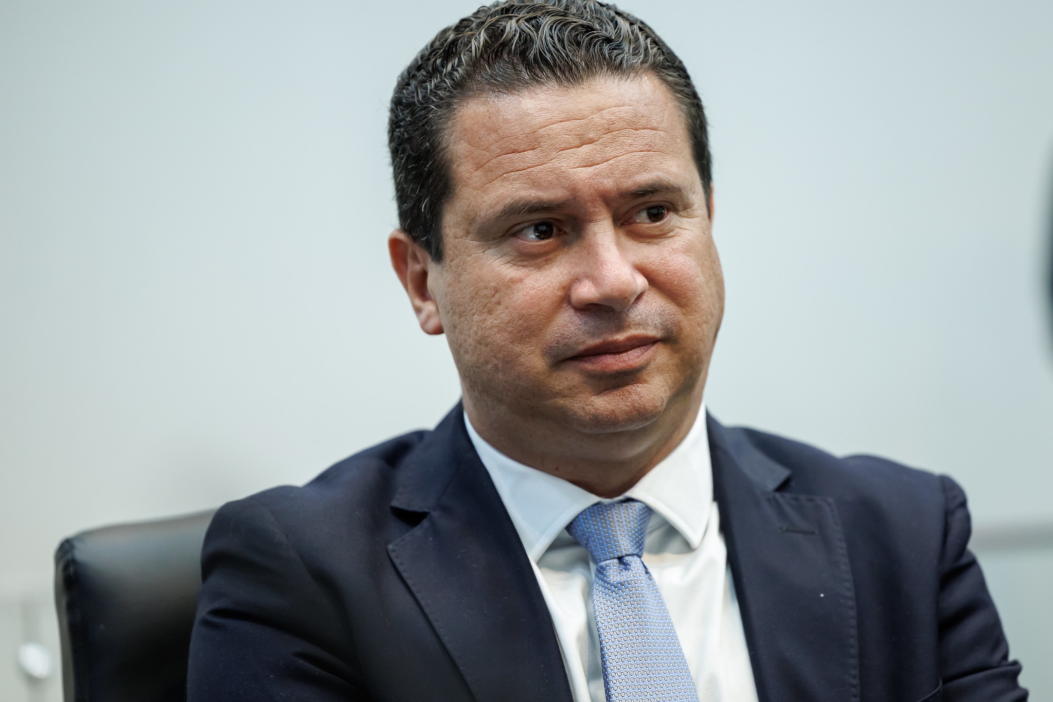 Alesp aprova projeto que autoriza sepultamento de cães e gatos em jazigos da família em SP 