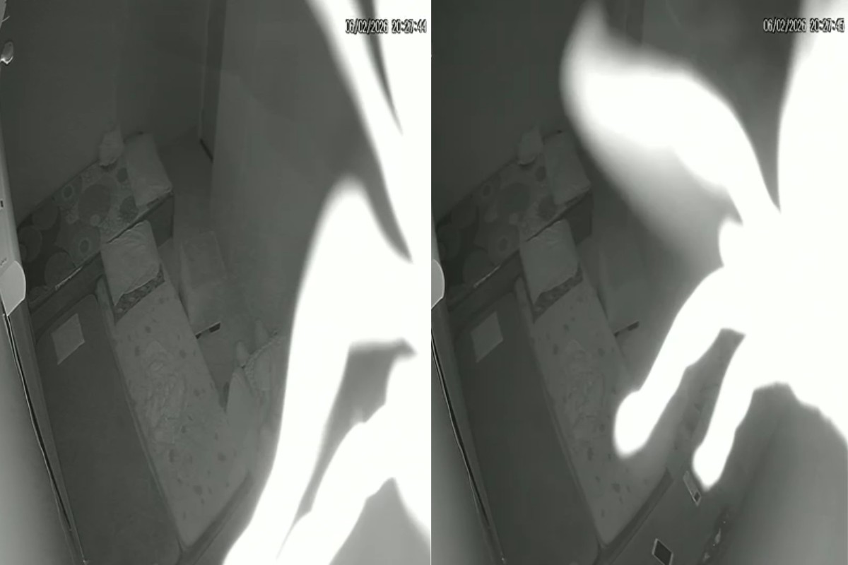 VÍDEO: escorpião cai de câmera de segurança em quarto enquanto mãe amamentava bebê no interior de SP