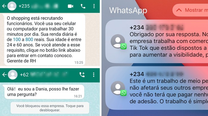 Telefone Elo: Veja o WhatsApp e Números de Contato