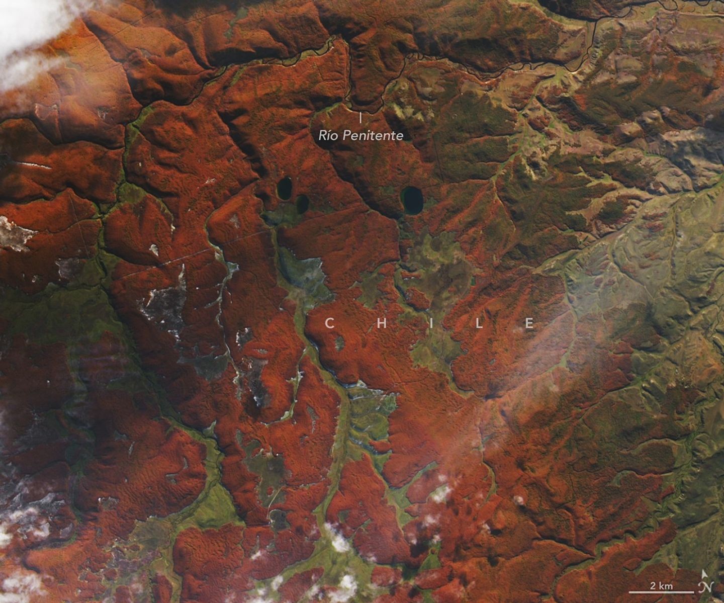 Imagem de satélite da NASA mostra floresta na Patagônia tingida de laranja no outono; VEJA