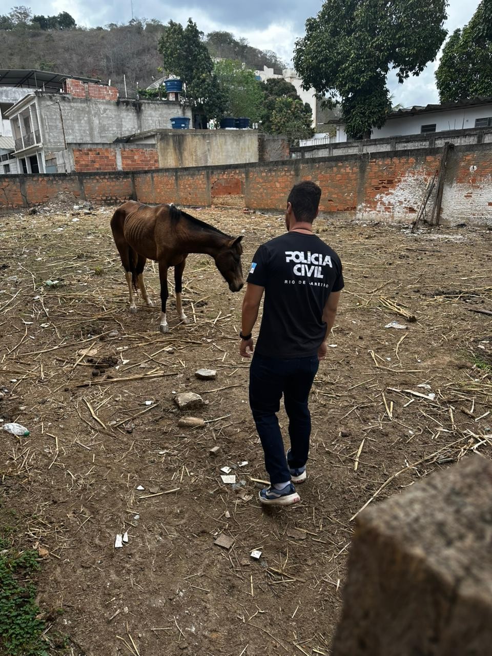 Polícia Civil apura dois casos de maus-tratos a animais no interior do Rio