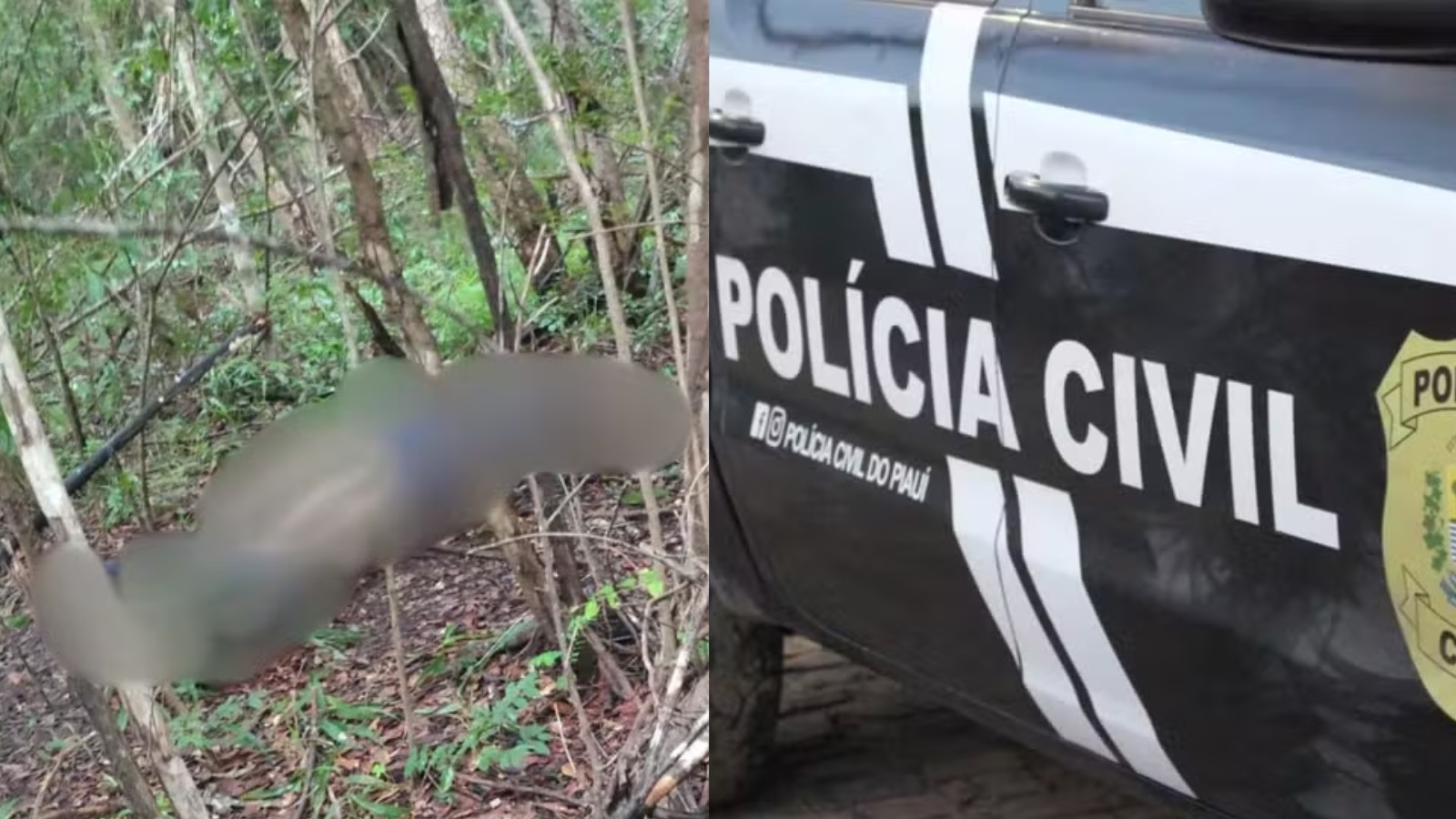 Morte de homem encontrado em área de mata no Piauí é investigada; dois suspeitos identificados
