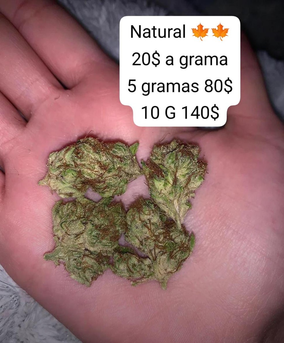 Pizzaiolo é preso no RN por vender drogas pela internet e oferecer 'delivery' — Foto: Reprodução