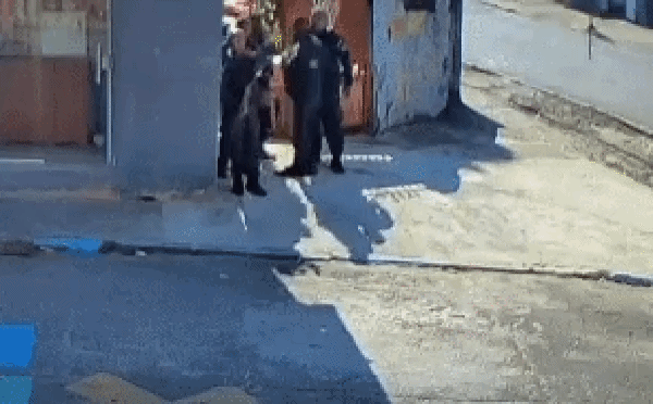 Moraes dá 30 dias para PGR opinar sobre plano de reocupação de territórios do RJ na ADPF das Favelas