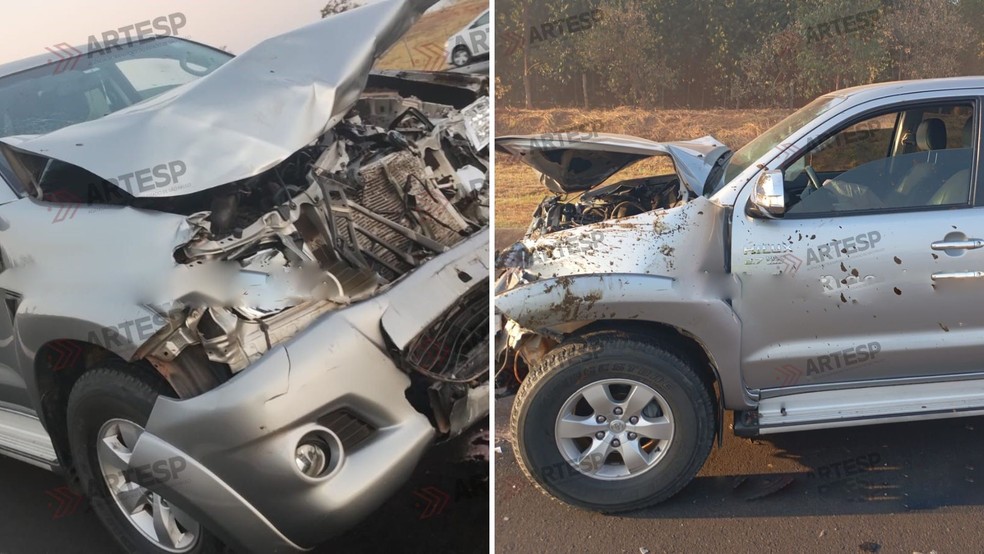 Motorista atropela cinco bois em rodovia SP-294 de Duartina (SP) — Foto: Artesp/divulgação