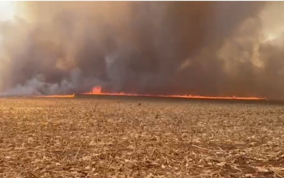 Produtores rurais fazem força-tarefa e alugam aviões para apagar incêndio em Caiapônia, Goiás — Foto: Arquivo Pessoal/Jean Kleiton