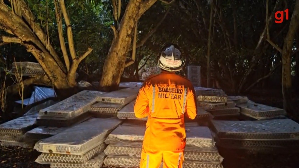 Colchões são colocados na base de árvore em que me homem se recusa a descer — Foto: Corpo de Bombeiros