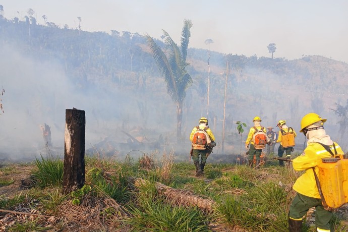 Incêndio florestal atinge Terra Indígena no sul do Amazonas há uma semana, diz Ibama
