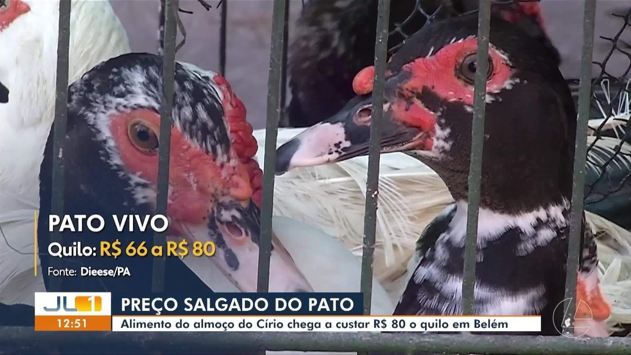 Pato mais caro: a um mês do Círio, preço chega a R$ 80 o quilo em Belém