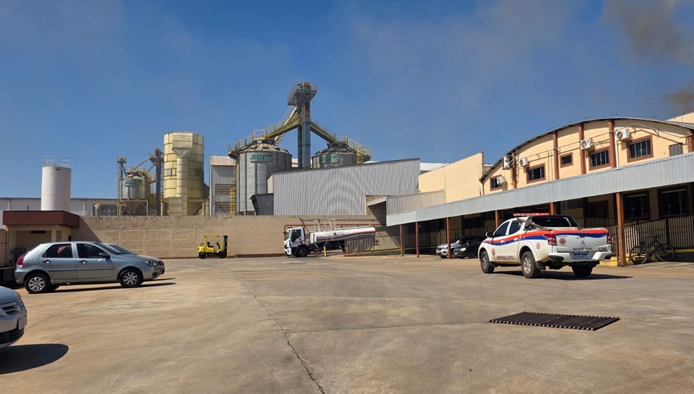1 de 3
Fogo atingiu empresa de beneficiamento de amendoim em Tupã — Foto: Diego Pereira