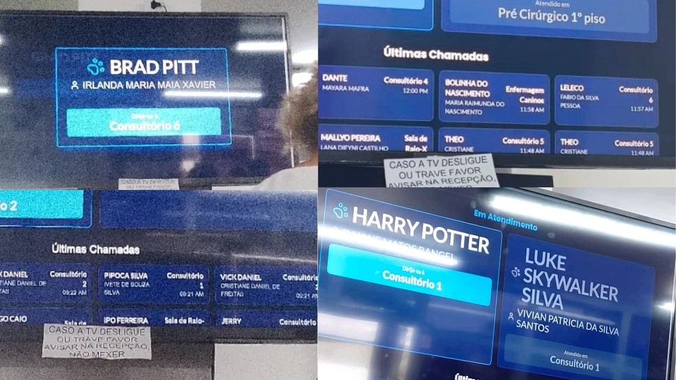 Nomes criativos de pets em hospital veterinário público do AM viralizam nas redes sociais — Foto: Reprodução/Redes Sociais