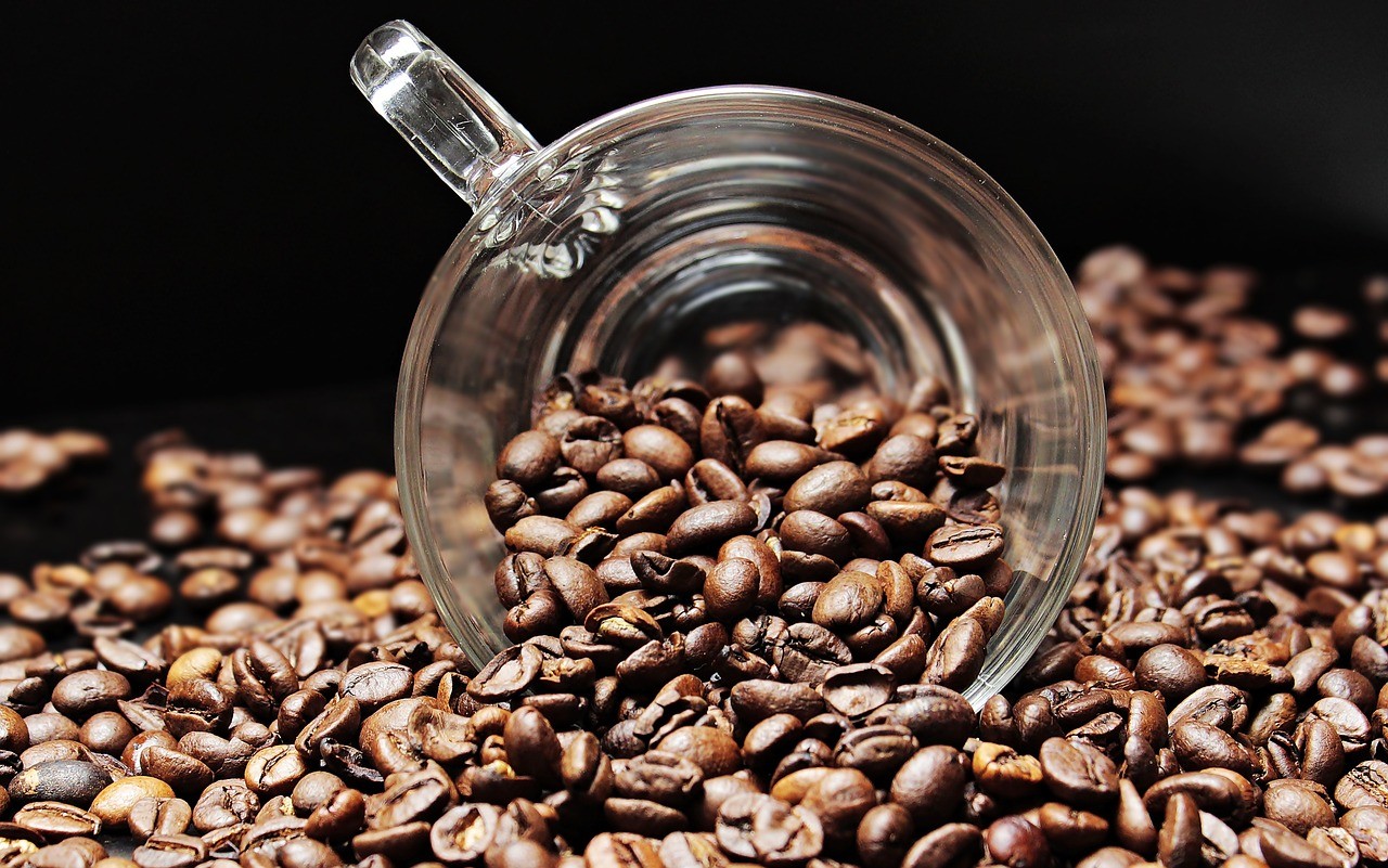 Encontro discute como melhorar industrialização do café e deixar o rótulo mais simples para o consumidor