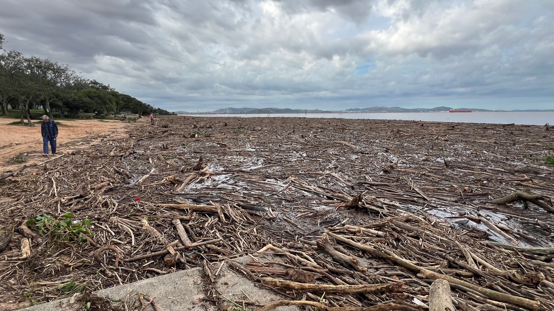 Troncos e destroços levados pelas fortes chuvas invadem praia e interrompem operação do Catamarã no Guaíba