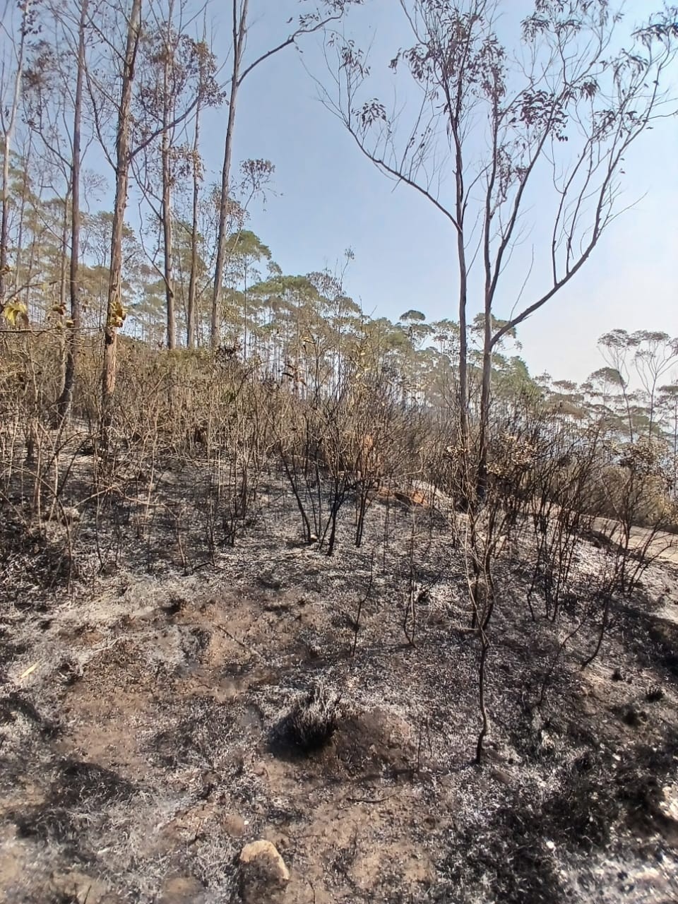 Intensidade de focos de incêndio diminui com passagem de frente fria em Bom Jesus dos Perdões, SP