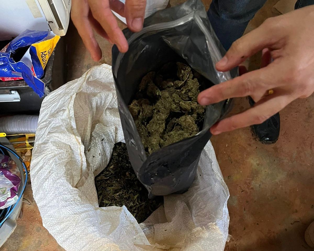 Mais de 500 kg de maconha são apreendidos durante operação da Polícia Civil na Bahia 