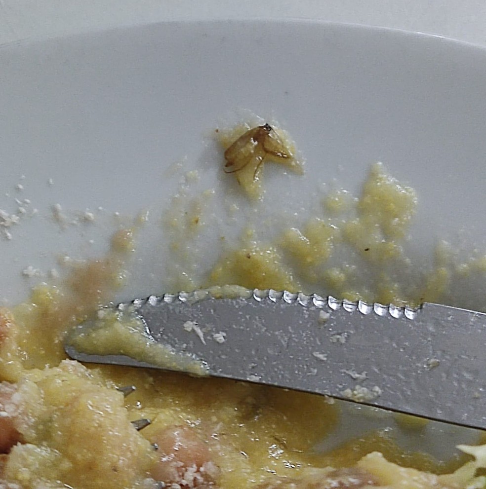 O alunos da Ufes, Breno Guterres, encontrou um mosquito no prato de comida. — Foto: Arquivo pessoal