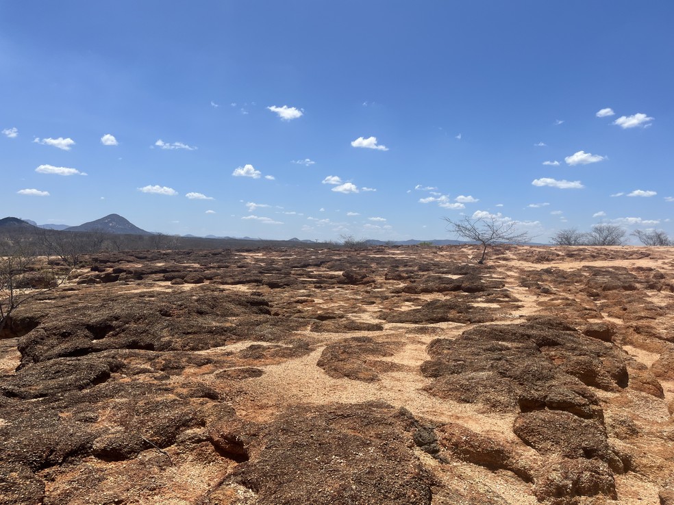 Processo de Desertificação em Olho D'Água do Borges (RN), Rio Grande do Norte — Foto: Cedida