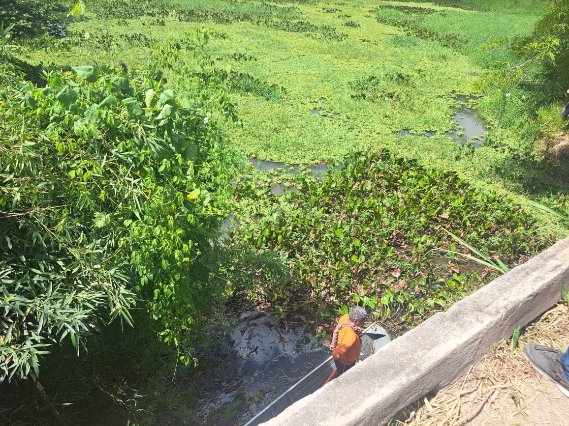 Motorista perde controle de carro e cai de ponte em uma área de pântano, em Piraí