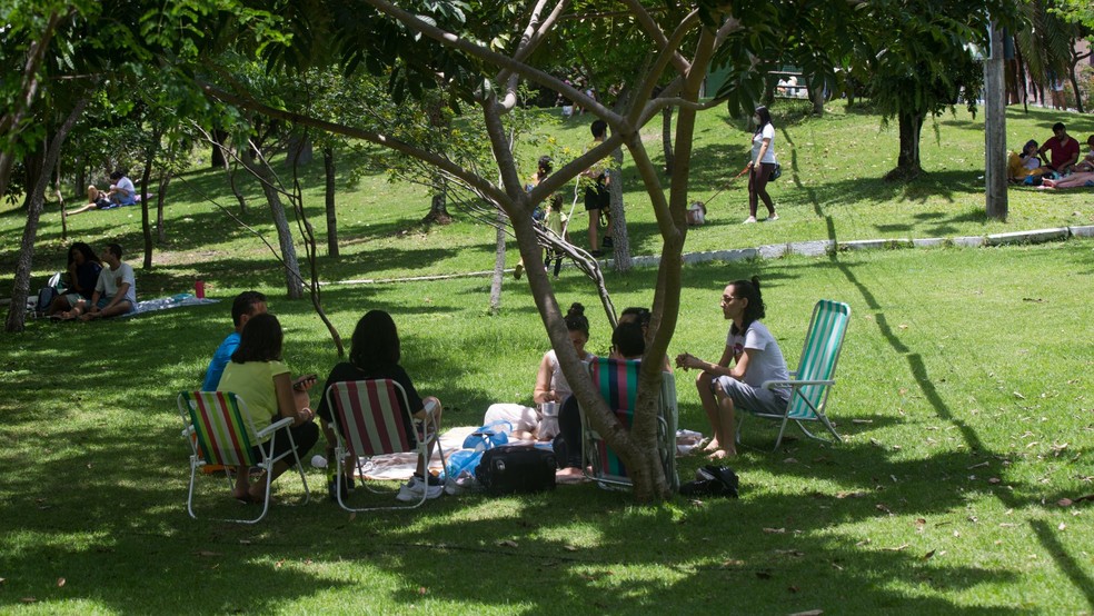 O Parque do Cocó, além de ser uma área de preservação, também oferece opções de lazer para a população. — Foto: Fabiane de Paula/SVM