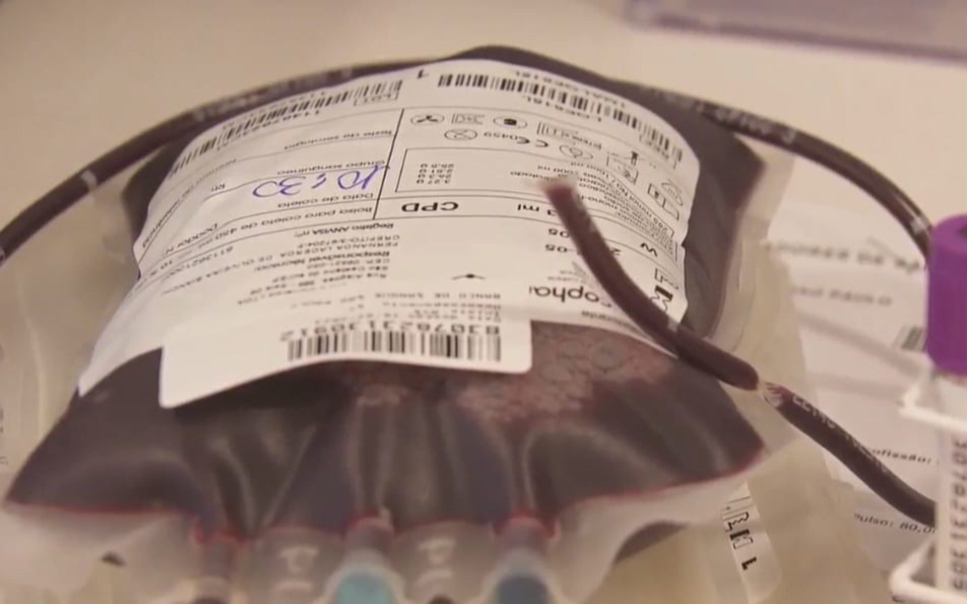 Estoques de sangue entram em estado crítico em hospitais de Catanduva; veja como doar