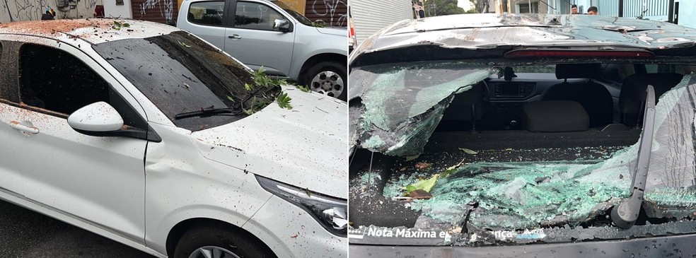 Dois carros foram atingidos por árvore durante temporal em Manaus. — Foto: Gato Júnior/Rede Amazônica