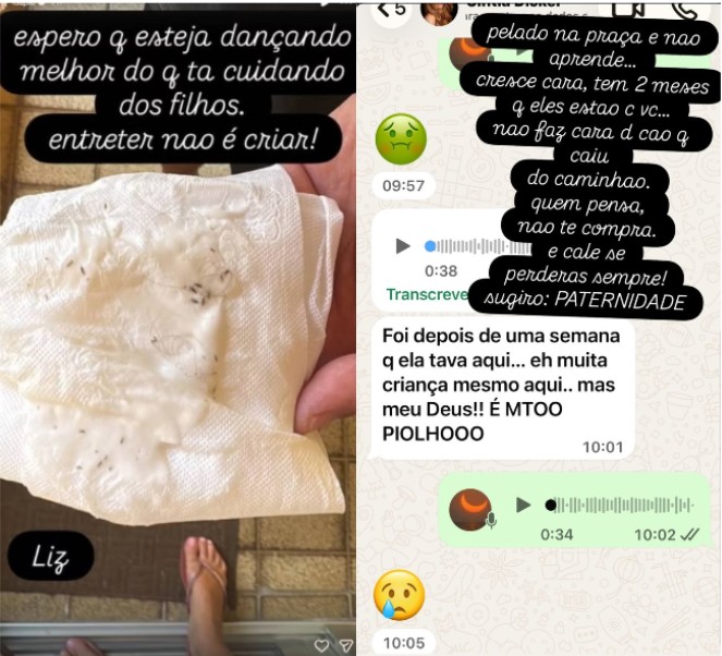 Piolho de Portugal ou do Brasil? Entenda como e em quanto tempo acontece uma infestação