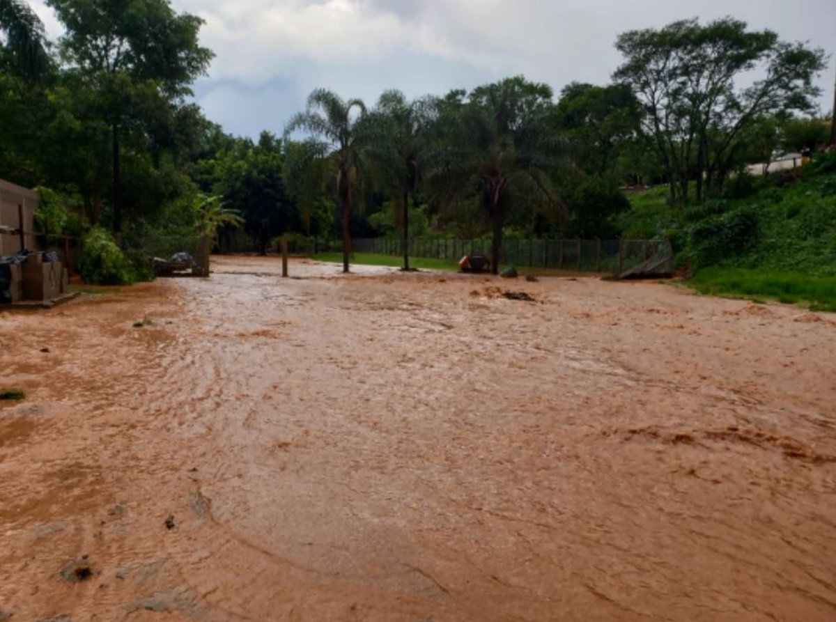 Chuva Forte Alaga Ruas E Derruba árvores Em Cássia Mg Sul De Minas G1 