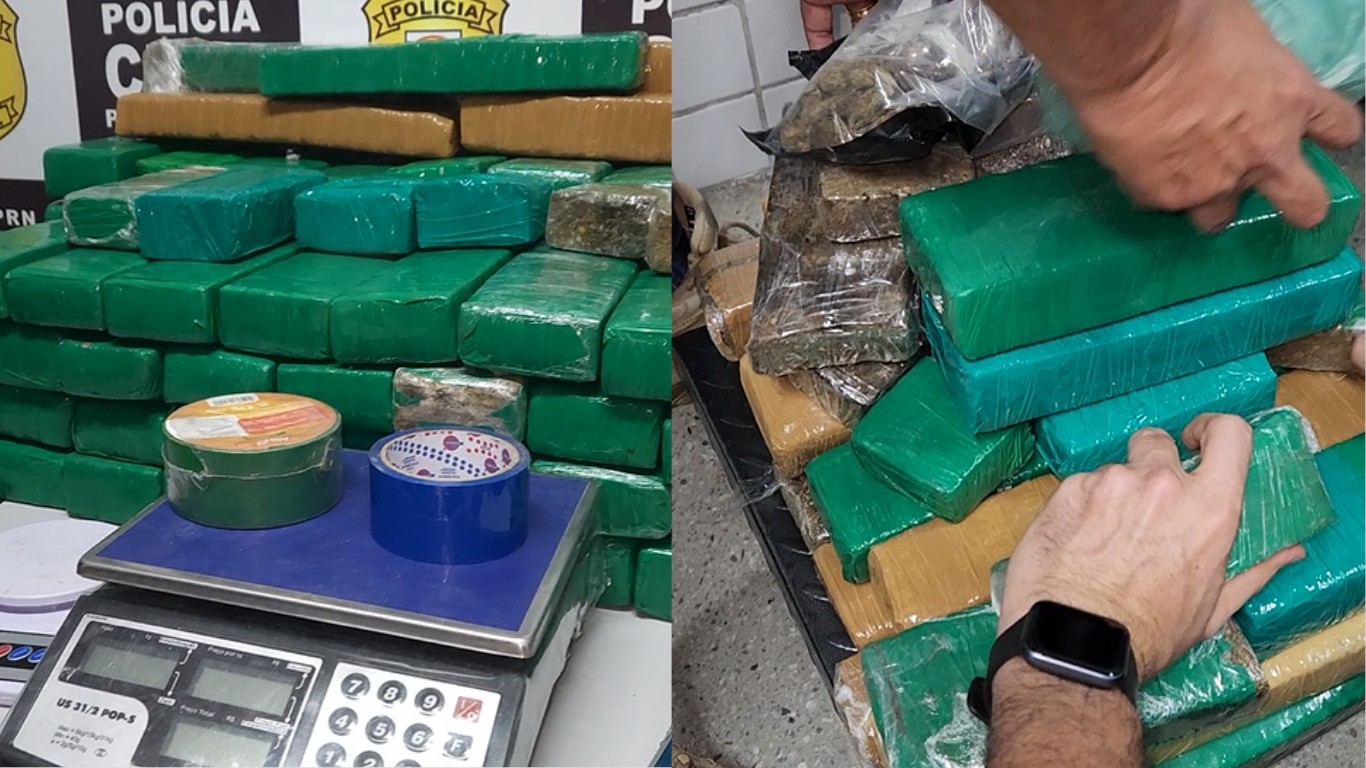 Polícia apreende mais de 120 kg de maconha escondidos em oficina em Caruaru