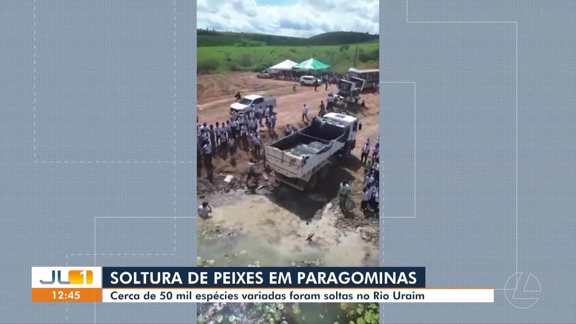 VÍDEOS: JL1 de segunda-feira, 1° de junho de 2026
