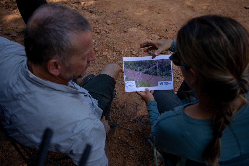 Passagem superior de fauna na BR-319 em trecho do Amazonas  — Foto: Michael Dantas/WCS