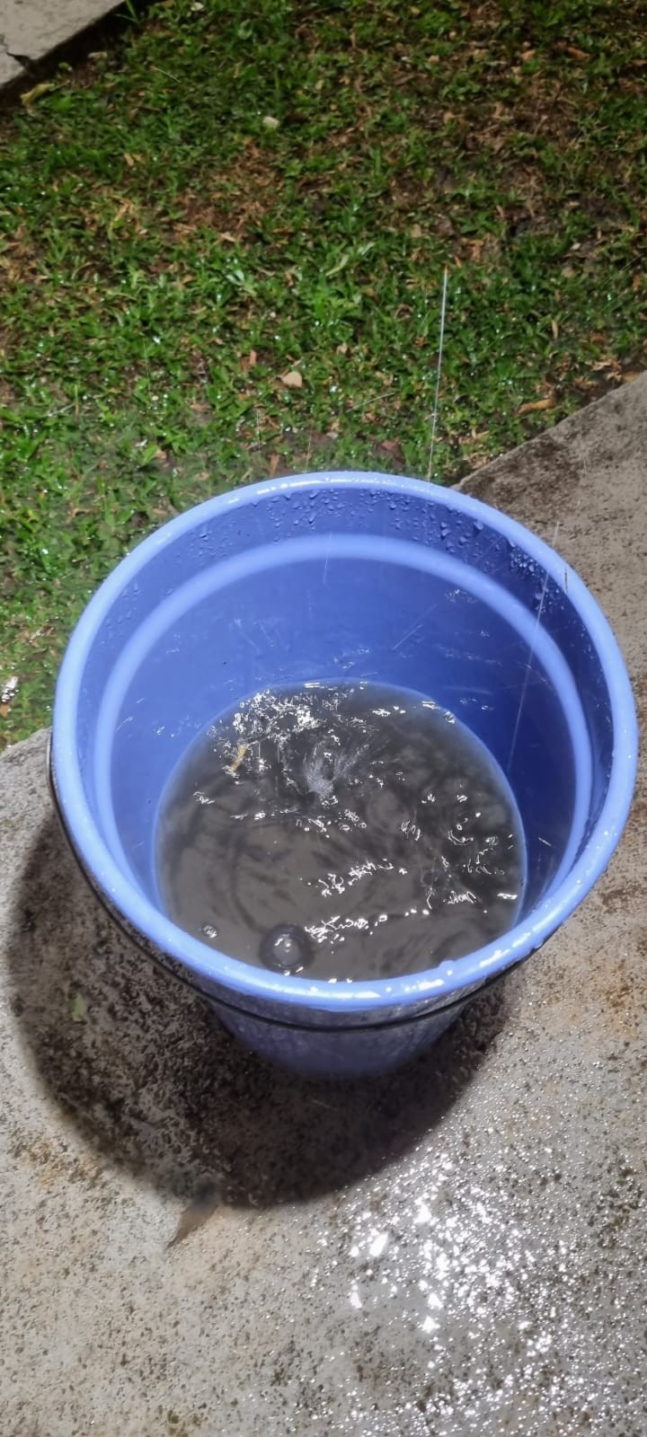 Chuva preta chega a SC; veja recomendações da Defesa Civil