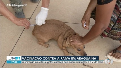 Araguaína promove vacinação contra a raiva em cães e gatos entre os dias 5 e 7 de maio