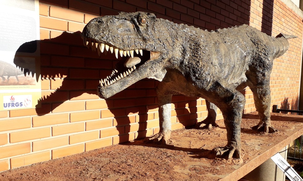 Reconstrução do Prestosuchus chiniquensis está exposta na frente do Museu de Paleontologia da UFRGS — Foto: Divulgação