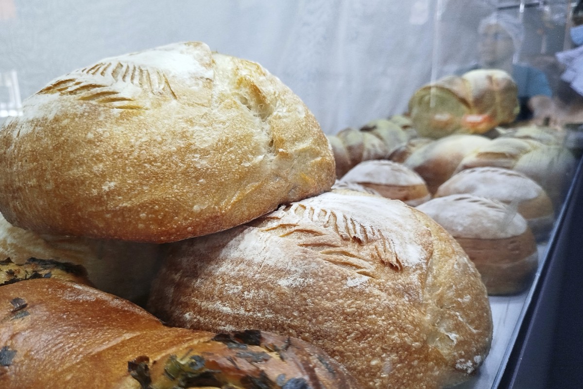 Sabor, saúde e tradição: pães de fermentação natural ganham destaque no interior de SP 
