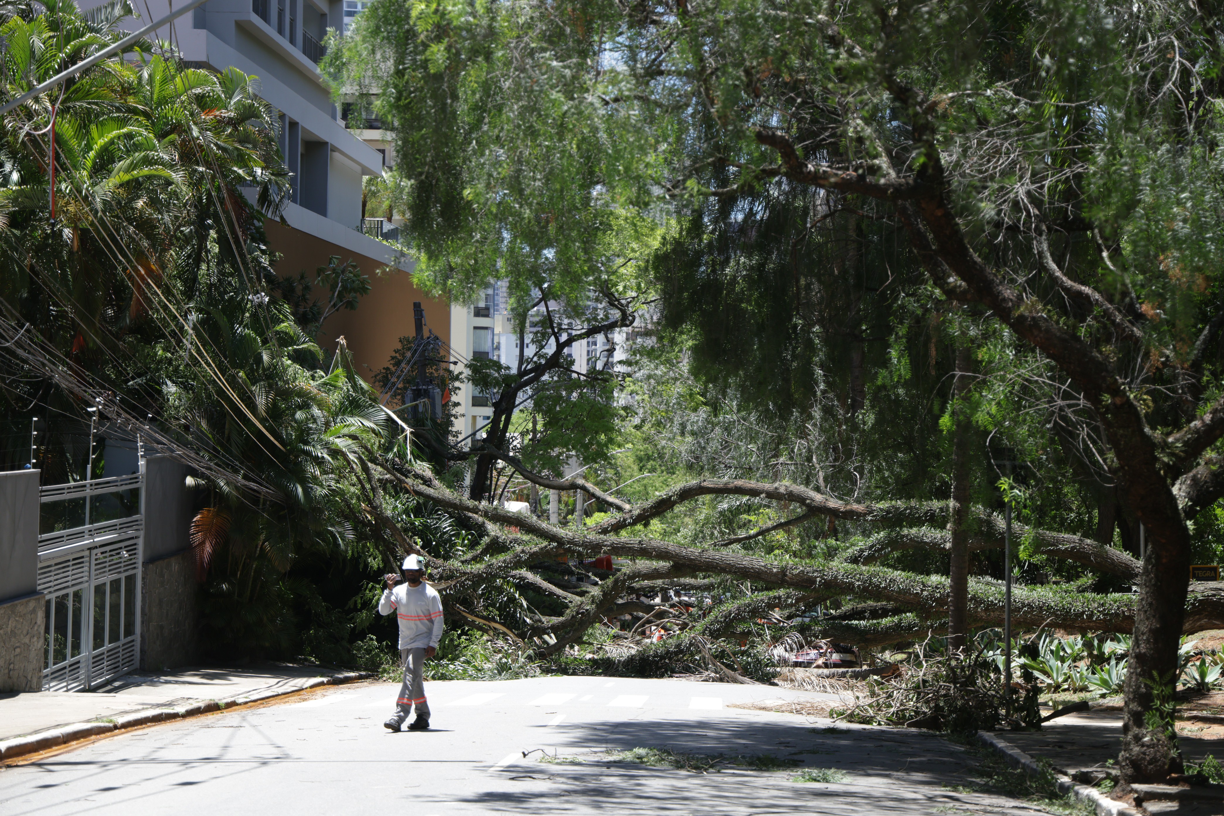 Você Não Tá Convidada pro Meu Bat Mitzvá!